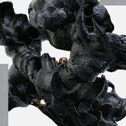 The World Lies Breathing