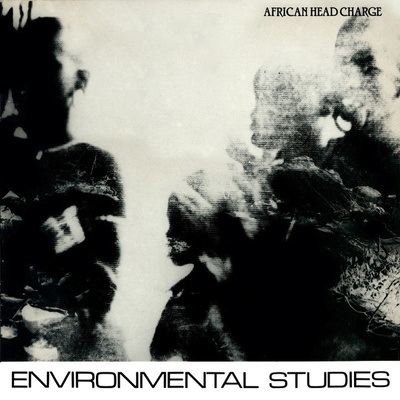 Environmental Studies (LP + MP3 download code) 