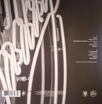 Birdsongs (LP + poster)