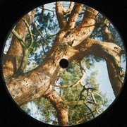 Untitled (BLUNDAR4) 180g