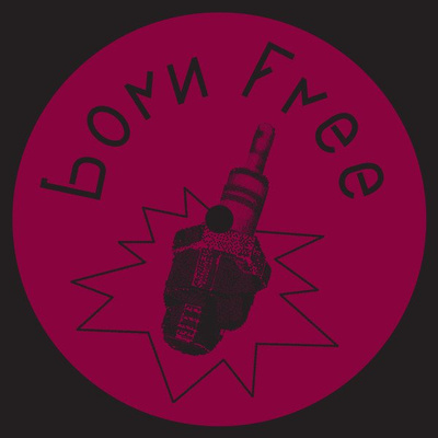 Born Free 37