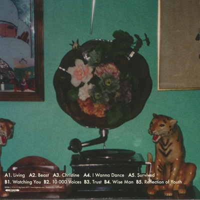 Reflection Of Youth (180g)