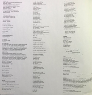 Drainland / Sacrificial Cake [Used / Second Hand]