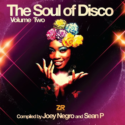 The Soul Of Disco Vol. 2 (Record Store Day 2017)