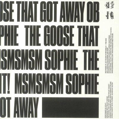 Msmsmsm / The Goose That Got Away