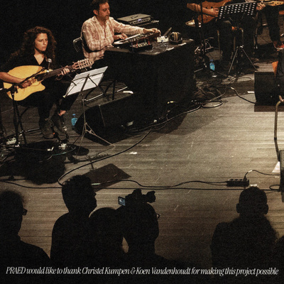 The Dictionary Of Lost Meanings (Gatefold)