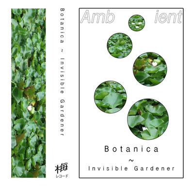 Invisible Gardener