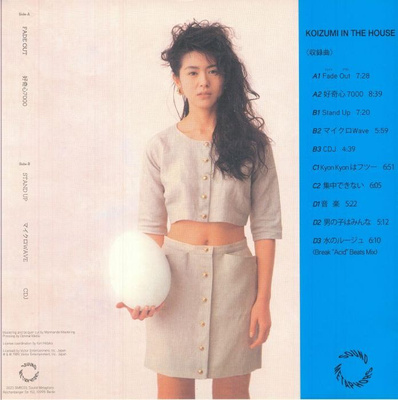 Koizumi In The House