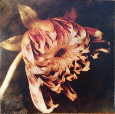 Sorrow (A Reimagining Of Gorecki's 3rd Symphony)