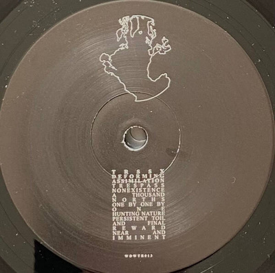 Deforming Assimilation