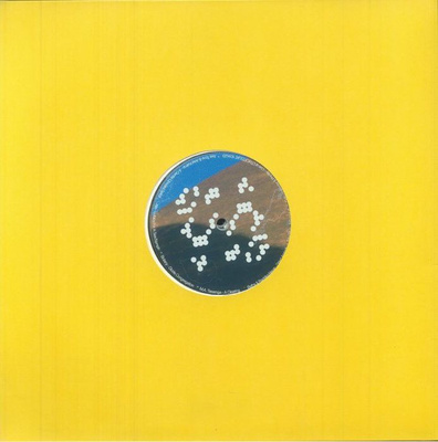 Staying: Leaving Records Aid To Artists Impacted By The Los Angeles Wildfires (Clear Vinyl)