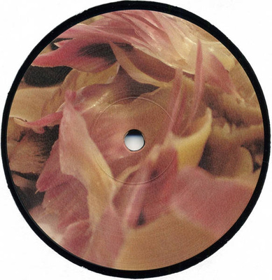 Alcachofa (Gatefold)
