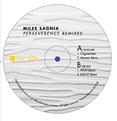 Perseverence (Remixes)