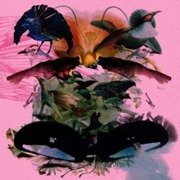 Rojus (Designed To Dance)