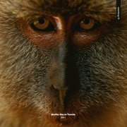 Another Day On Tarutao