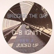 Bridging The Gap