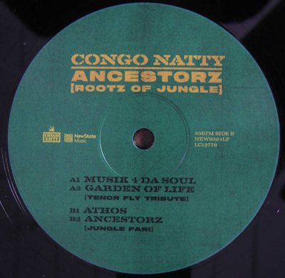 Ancestorz (Rootz Of Jungle) Gatefold
