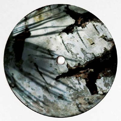 Regenerate (Fluxion Rmxs)