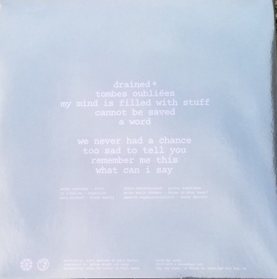 The Brian Jonestown Massacre (clear vinyl)