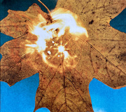 Force Of The Wind = Сила Ветра