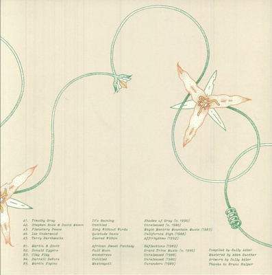 Lost Coast: Some Visionary Music From California, 1980–1992 (Coke Bottle Clear Vinyl)