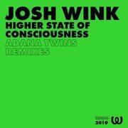Higher State Of Conciousness (Adana Twins Remixes)