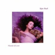 Hounds Of Love (180g)