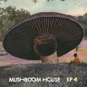 Mushroom House EP 4
