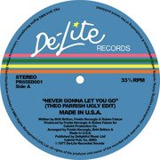 Never Gonna Let You Go (Theo Parrish Ugly Edit)
