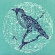 Peace Bird EP