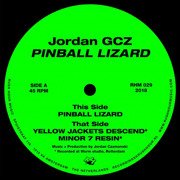 Pinball Lizard EP