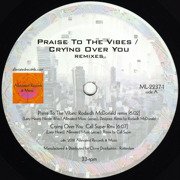Praise To The Vibes / Crying Over You (Remixes)