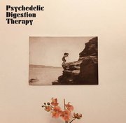 Psychedelic Digestion Therapy
