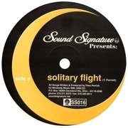 Solitary Flight