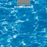 Surround (Black Vinyl)