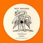 Tremendous / S.M. (orange vinyl)