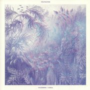 Wildeburg / Coral (clear vinyl)