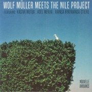 Wolf Müller Meets The Nile Project EP