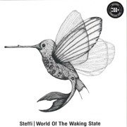 World Of The Waking State (gatefold)