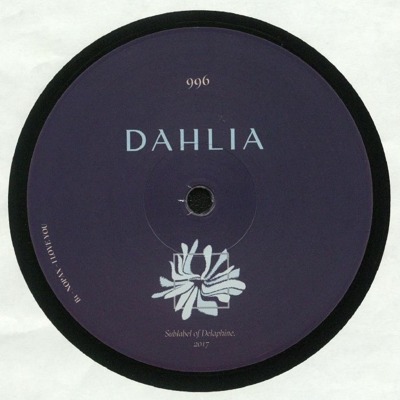 Dahlia 996