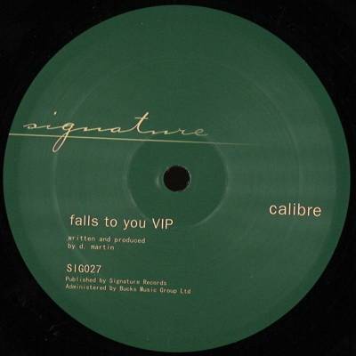 Falls To You VIP / End Of Meaning