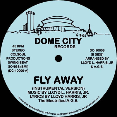 Fly Away (Disco Version) (Record Store Day 2022)