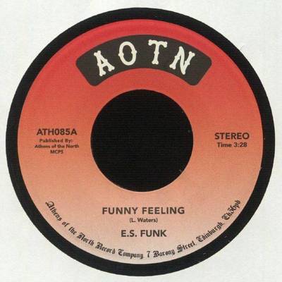 Funny Feeling / Shake Your Body (At The Disco)