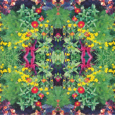 Kaleidoscope: New Spirits Known & Unknown