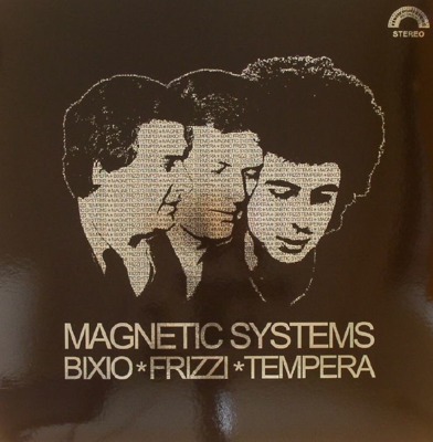 Magnetic Systems