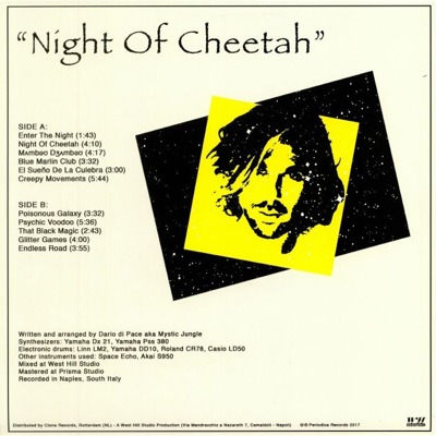 Night Of Cheetah