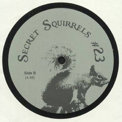 Secret Squirrel #23