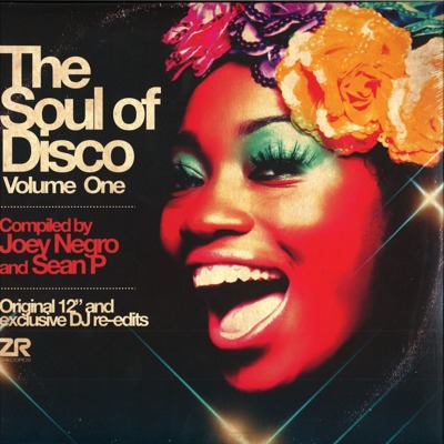 The Soul Of Disco Volume One