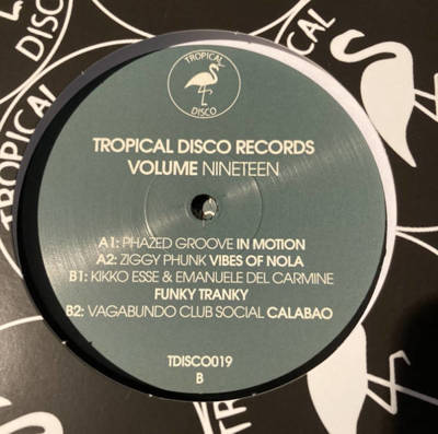 Tropical Disco Edits Vol. 19 (180g)