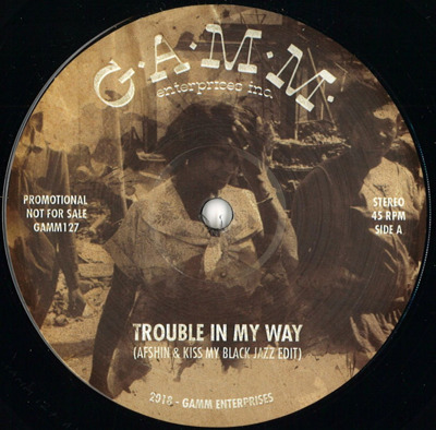 Trouble In My Way / The Riot